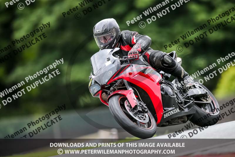 PJ Motorsport 2019;anglesey;brands hatch;cadwell park;croft;donington park;enduro digital images;event digital images;eventdigitalimages;mallory;no limits;oulton park;peter wileman photography;racing digital images;silverstone;snetterton;trackday digital images;trackday photos;vmcc banbury run;welsh 2 day enduro